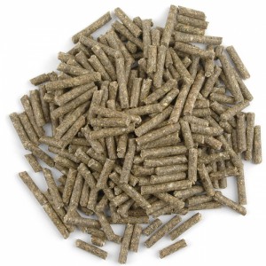 granule.jpg